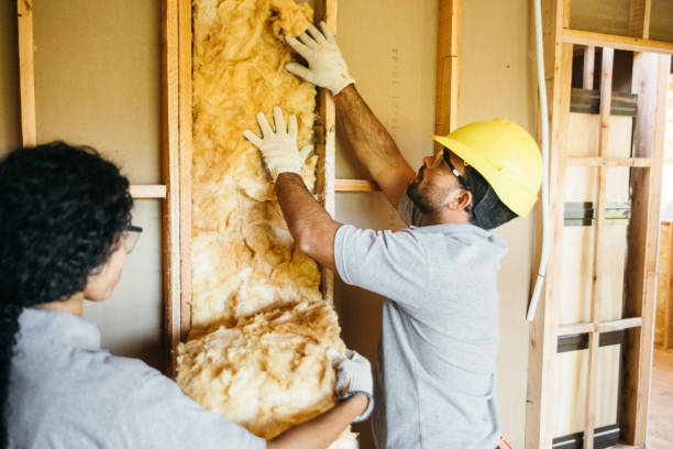 Best Insulation Replacement Services  in Valley Park, MO