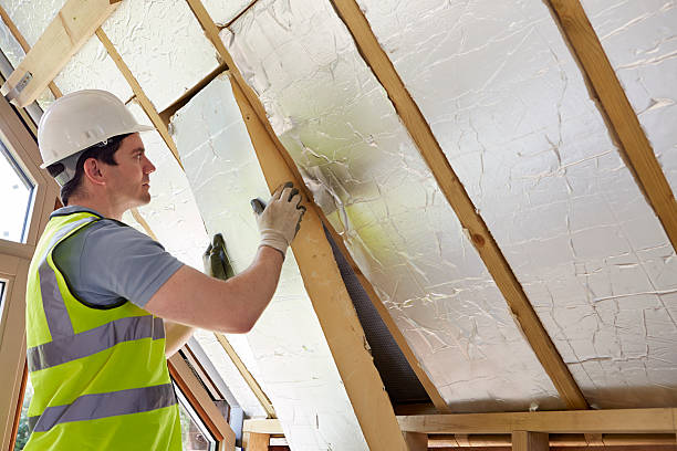 Insulation Replacement Services in Valley Park, MO