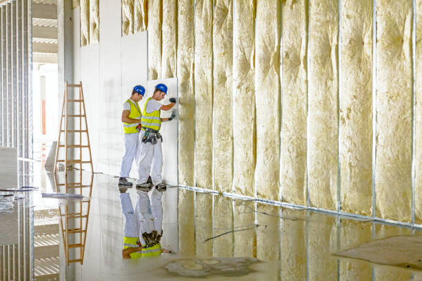 Best Commercial Insulation Contractor  in Valley Park, MO